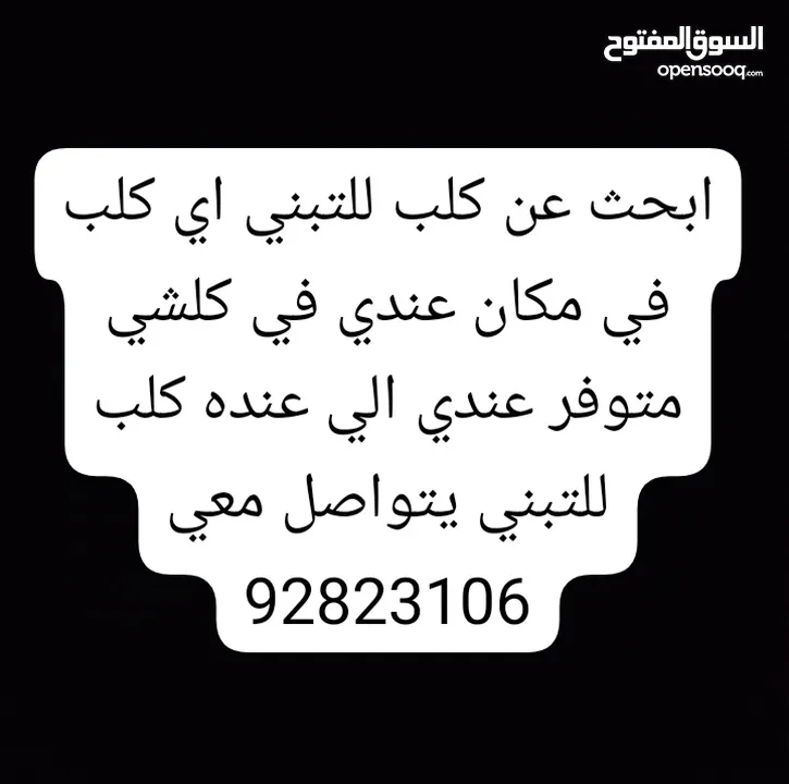 اريد كلب للتبني اي كلب يوجد مكان عندي متوفر كل شي معي