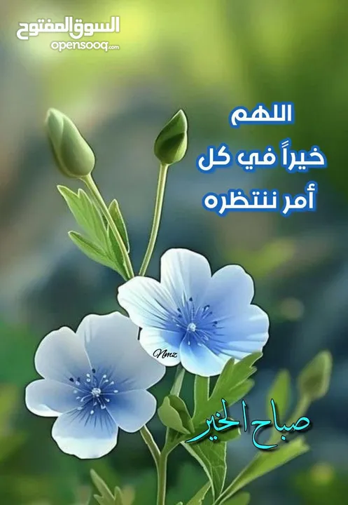 محل للايجار
