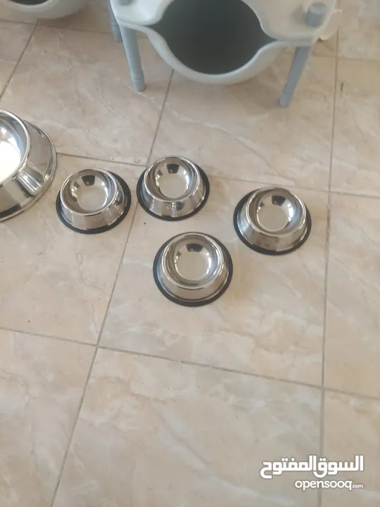 أغراض قطط للبيع في حالة الوكالة