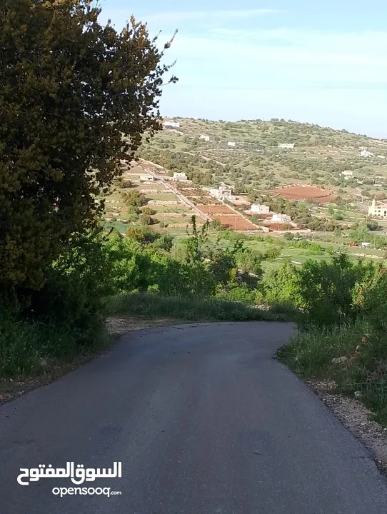 بيت عالعظم على قطعة ارض