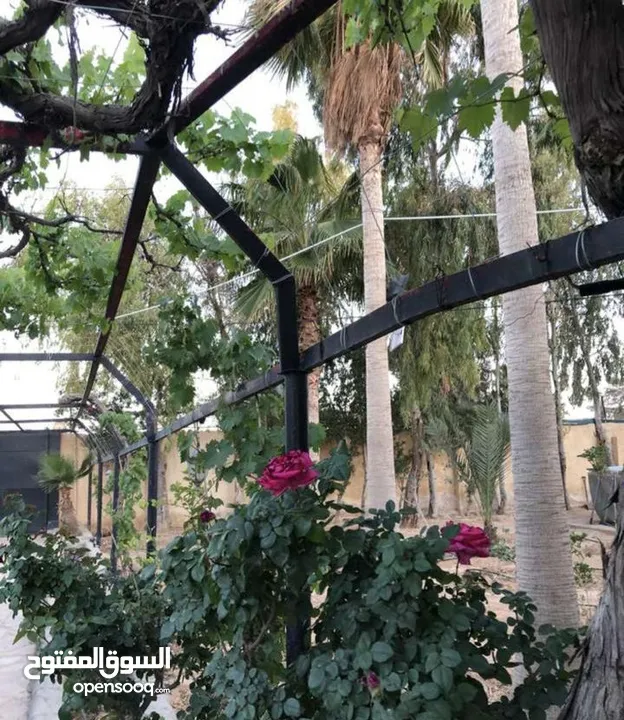 مزرعة مميزة و مشجرة للبيع بسعر مغري