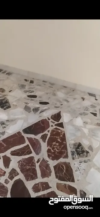 شقه للإيجار