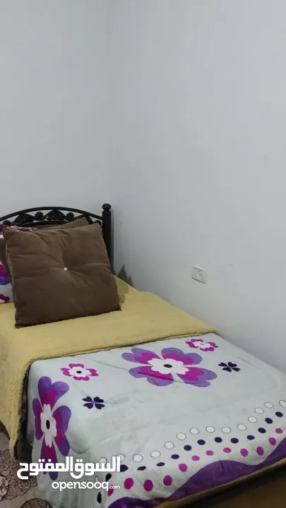 شقه مفروشه جميله للايجار اليومي