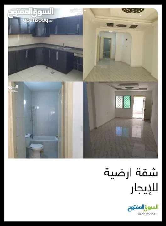 مطلوب شقة للإيجار