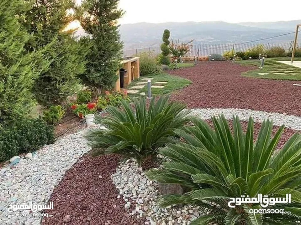 تراب احمر نخب اول توف بركاني أحواض زريعه أشجار بانواعها