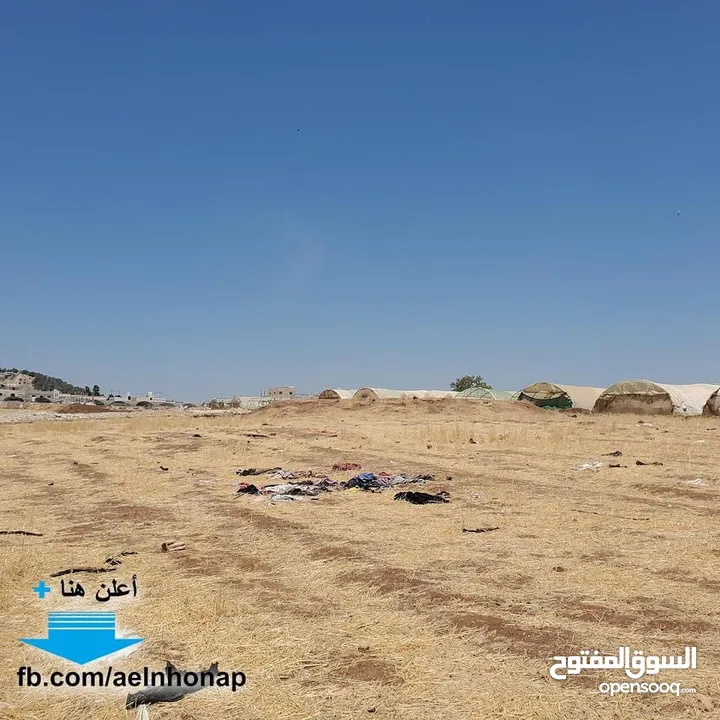 قطعة أرض مفروزة سكنية مميزة للبيع في منطقة أم الدنانير  من أراضي شمال عمان من المالك مباشرة