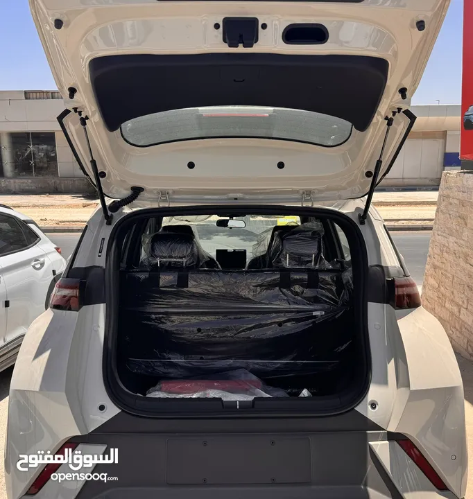 بي واي دي BYD 2024