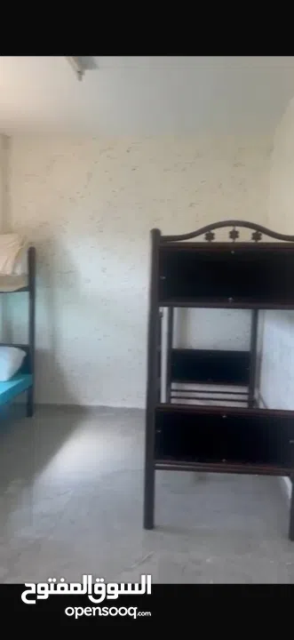 شقة للإيجار