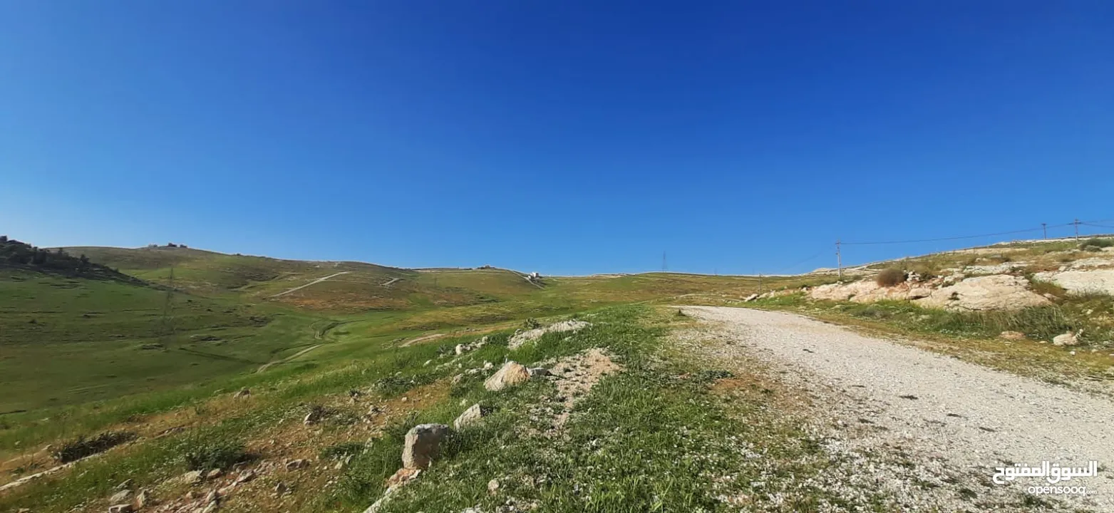 أرض للبيع - شفا بدران - زينات الربوع - حوض الشكارة