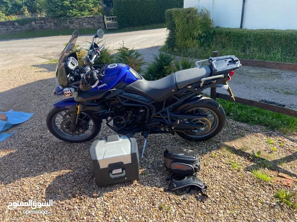 Triumph Tiger Bike 800 for sale .