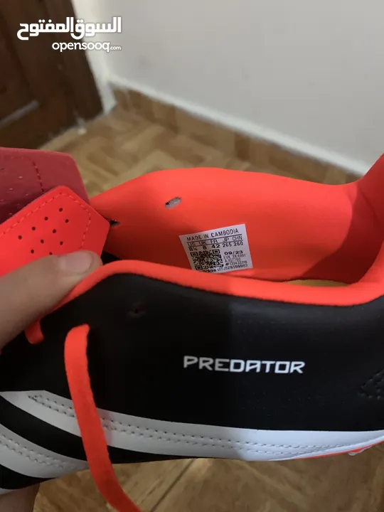 Adidas Predator brand new