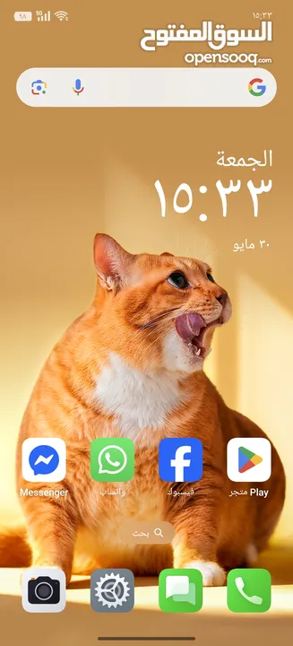 OnePlus 13