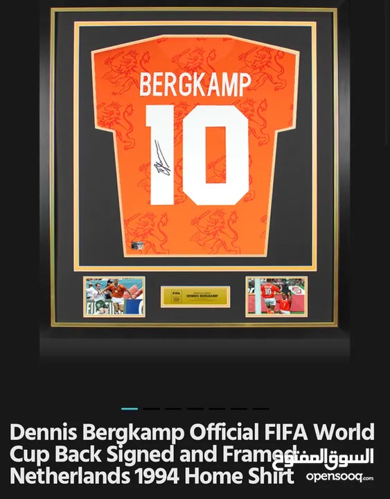 Dennis Bergkamp Official FIFA World Cup Back Signed