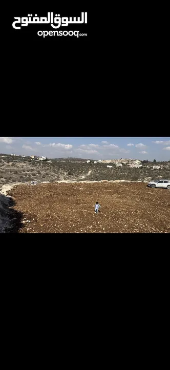 ارض للبيع في سفارين  تصلح لاستخدامات متعدده