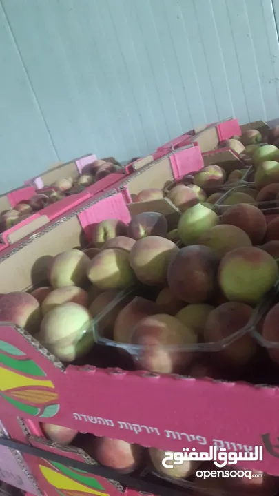 مشروع تجاري مربح بحاجة لتمويل