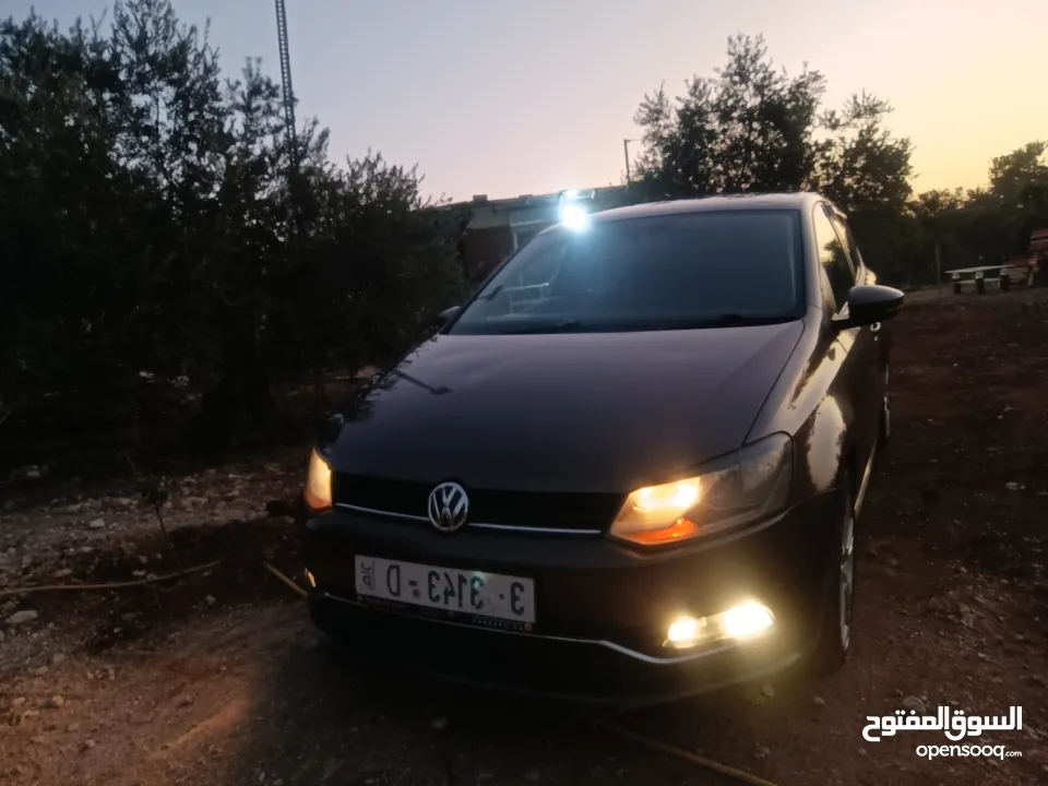 بولو جير عادي تحفة فنية