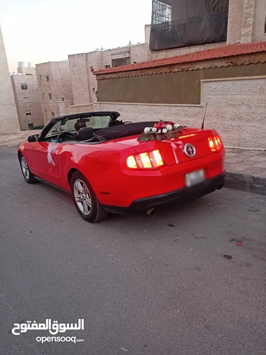فورد موستينج كشف للأعراس والمناسبات والايام