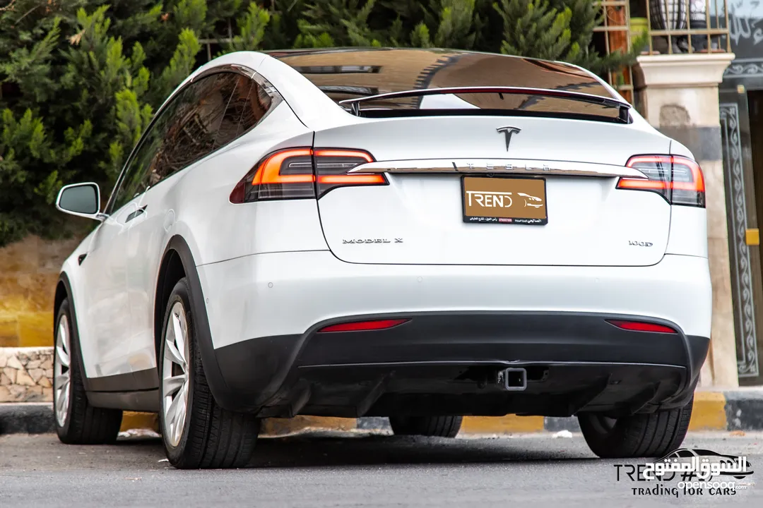 Tesla Model X 100D  2018
