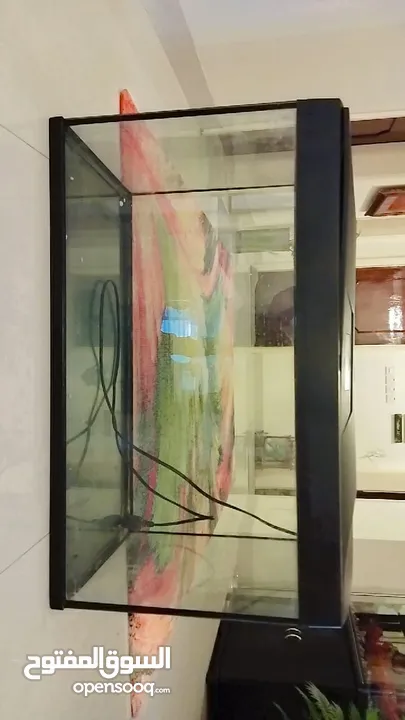 Big size Aquarium for sale