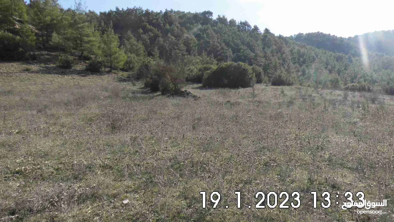Land near DENIZLI, 15,850m², on the edge of a forest, for wine or fruit cultivation, from Owner