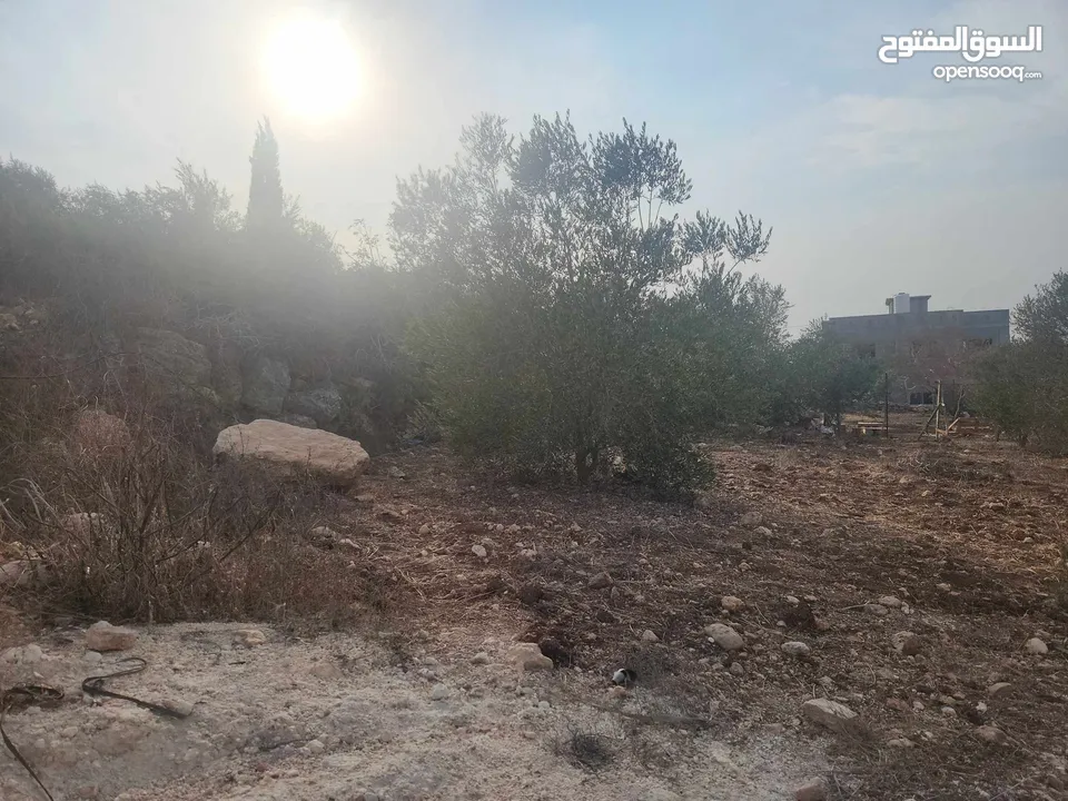 حصة 700 متر بالمسقوفة