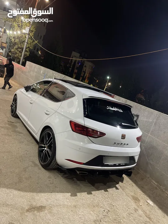 سيت كوبرا 2019