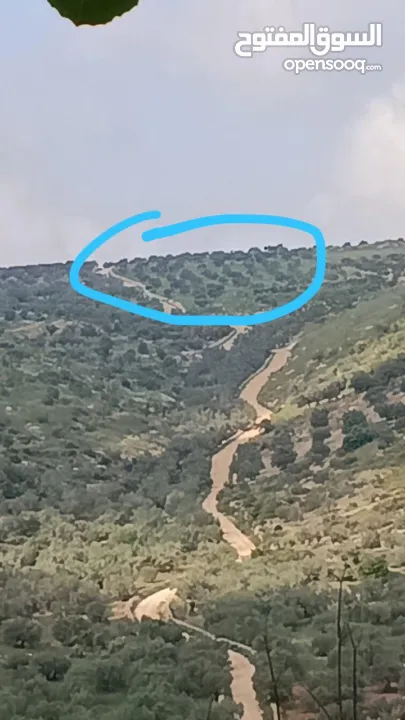 ارض للبيع بسعر مغري في ياصيد