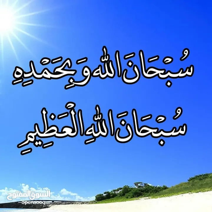 معلم لغة عربية ذو خبرة واسعة في مجال التدريس الثانوي والأساسي.