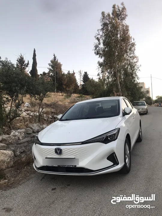 شانجان ايدو 2023
