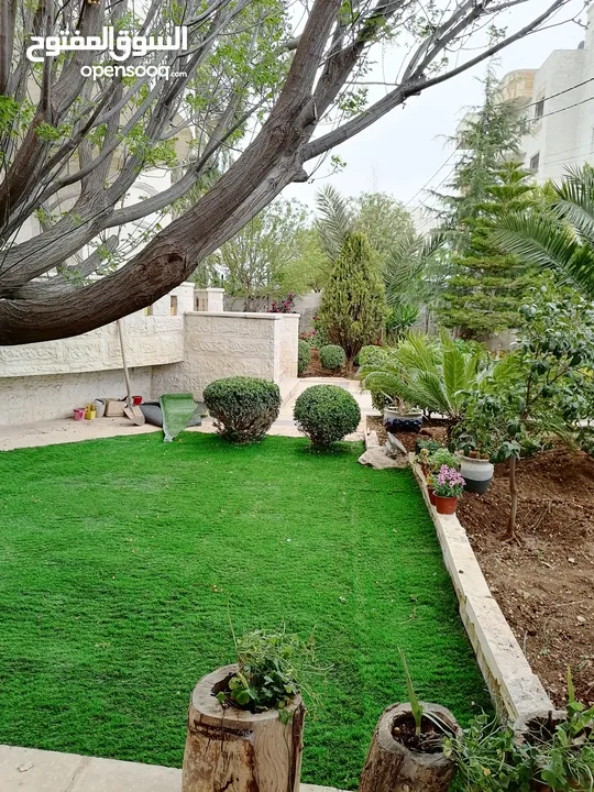 عشب صناعي واكسسوارات الملاعب