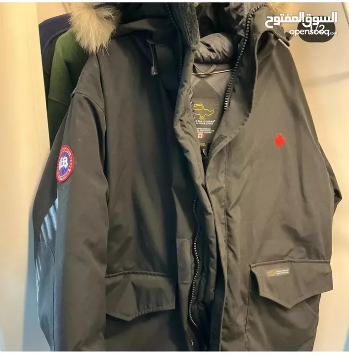 Canada Goose