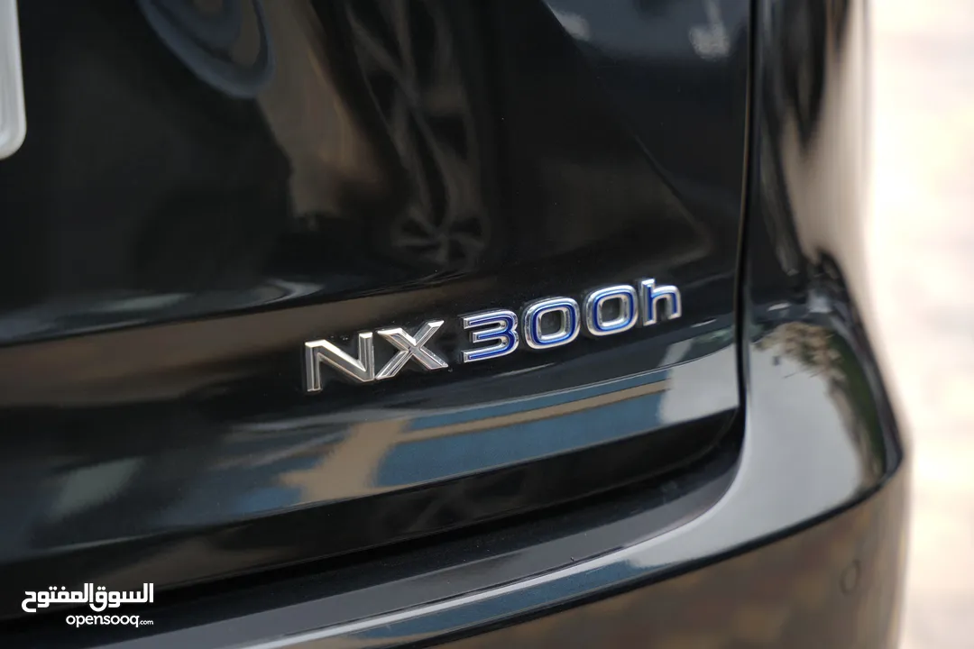 Lexus NX300H 2019