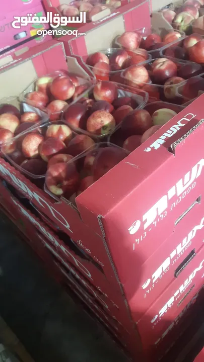 مشروع تجاري مربح بحاجة لتمويل