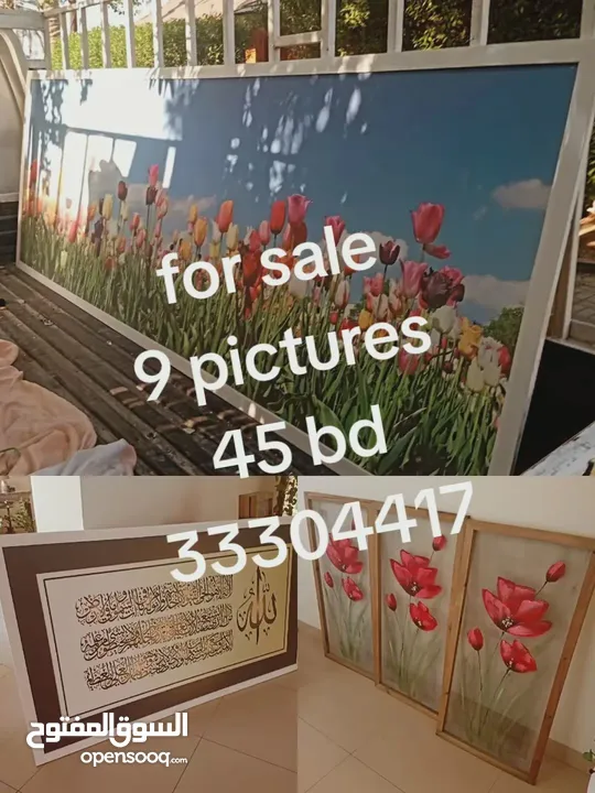 مجموعه صور احجام مختلفه