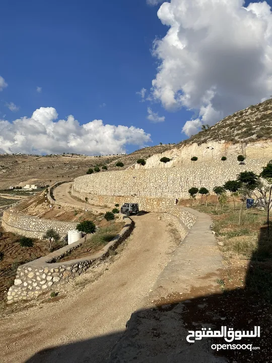 مزرعة في مغاريب السلط من المالك مباشرة