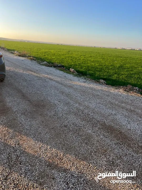 ارض للبيع حواره الجور الشرقي اقل سعر بالحوض