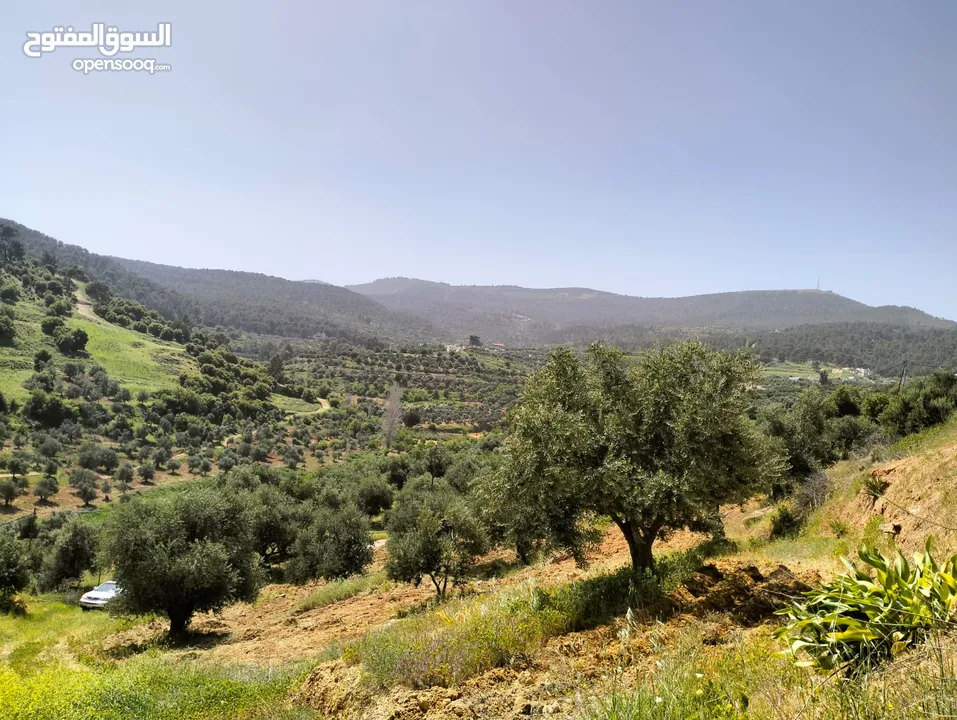 أرض مميزة جداً لعمل شاليه استثماري أو مزرعة خاصة أو مزرعة تجارية يوجد بها قناة ماء من المالك مباشرة