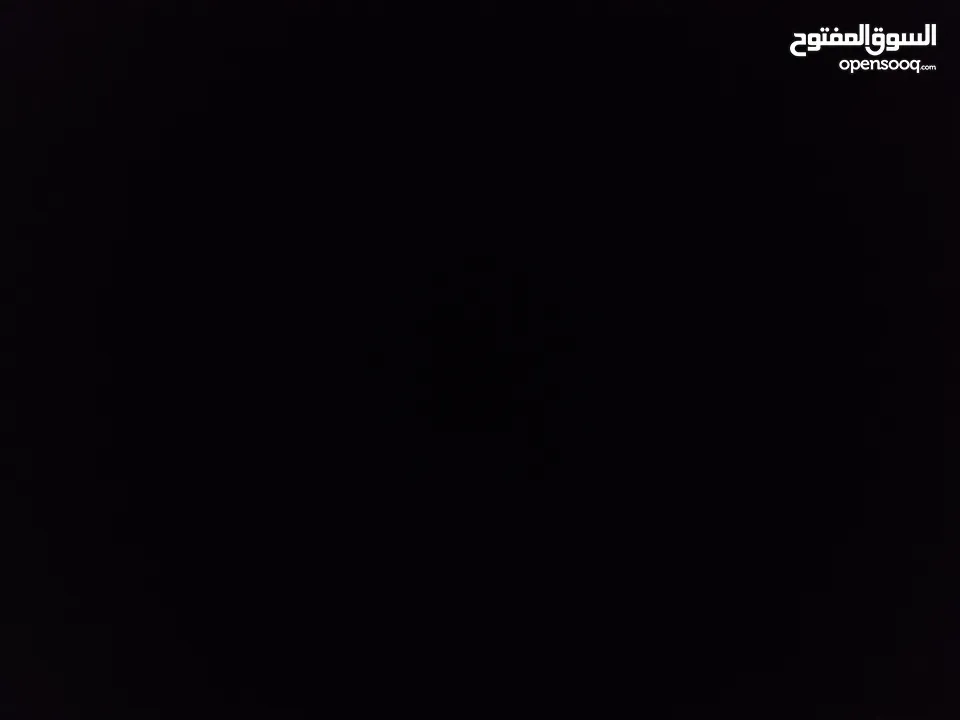 حمري بري للبيع صيصان للبيع المستعجل العدد 4