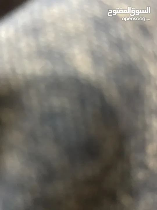 مستودع مخزن للايجار