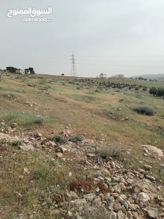 3600م للبيع رحاب بني حسن مرتفعه ومطله ع طريق اريد الزرقاء من المالك مباشره