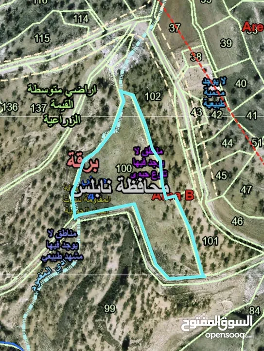 ارض في برقه نابلس مساحه 6 دونم