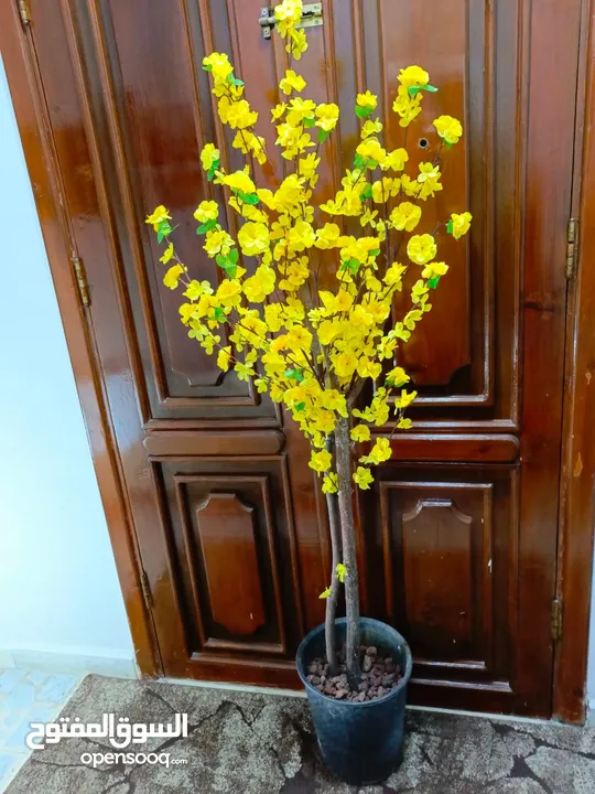 أشجار صناعي بجذع طبيعي شامل القوار