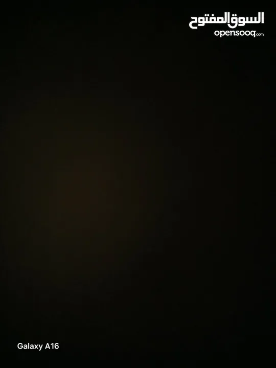 طيره قرقاطيه شغاله