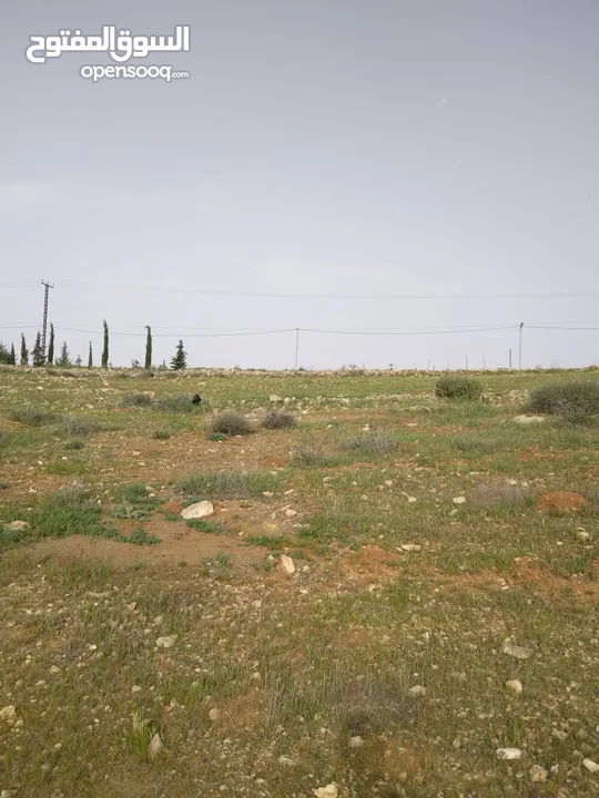 3600م للبيع رحاب بني حسن مرتفعه ومطله ع طريق اريد الزرقاء من المالك مباشره