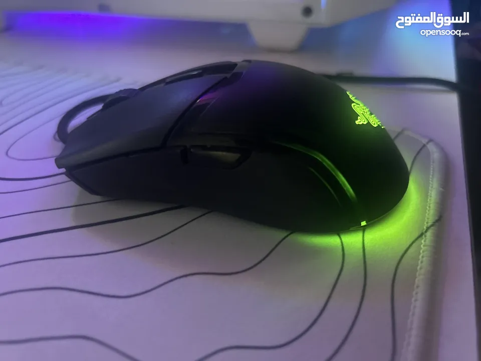 Mouse razor cobra synapse