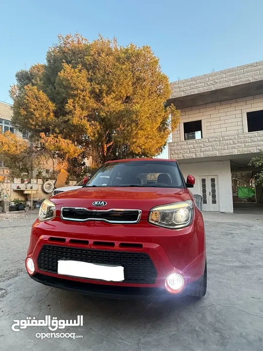 حرق حرق حرق كايا سول 2016 ولا ضربة قارن الاسعار