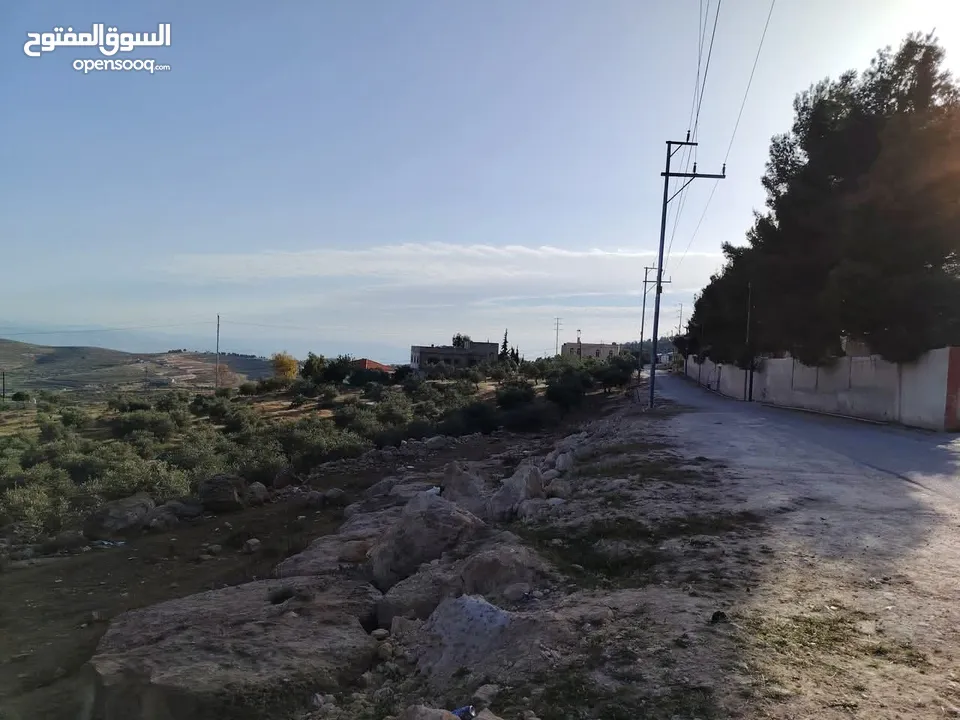فرصه للشراء ارض مشجره جاهزه داخل التنظيم ومخدومه شارع معبد خدمات كامله ومطله