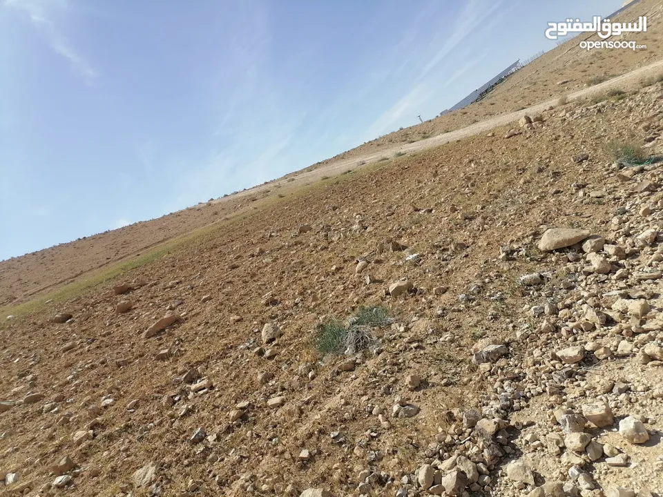 ارض للبيع طريق 100 بسعر مغري جداً