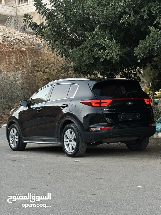 احمد سامي ابو غنيم