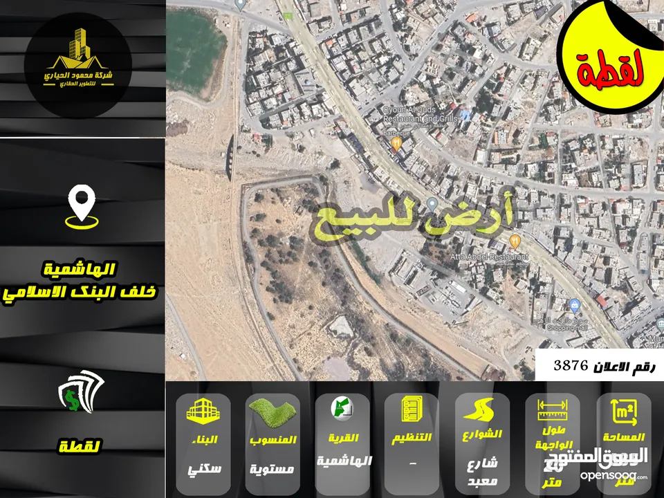 رقم الاعلان (3876) ارض استثمارية  للبيع في منطقة الهاشمية